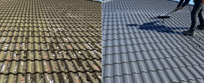 Dirty roof before painting. Moss, lichen, debris show risks of skipping roof cleaning.