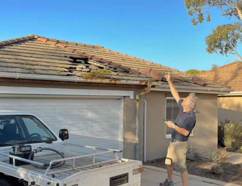 Signs Your Perth Roof Needs Restoration Visible From Ground Level