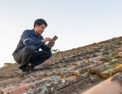 Before Re-Roofing Perth: Why Roof Cleaning and Inspection Come First